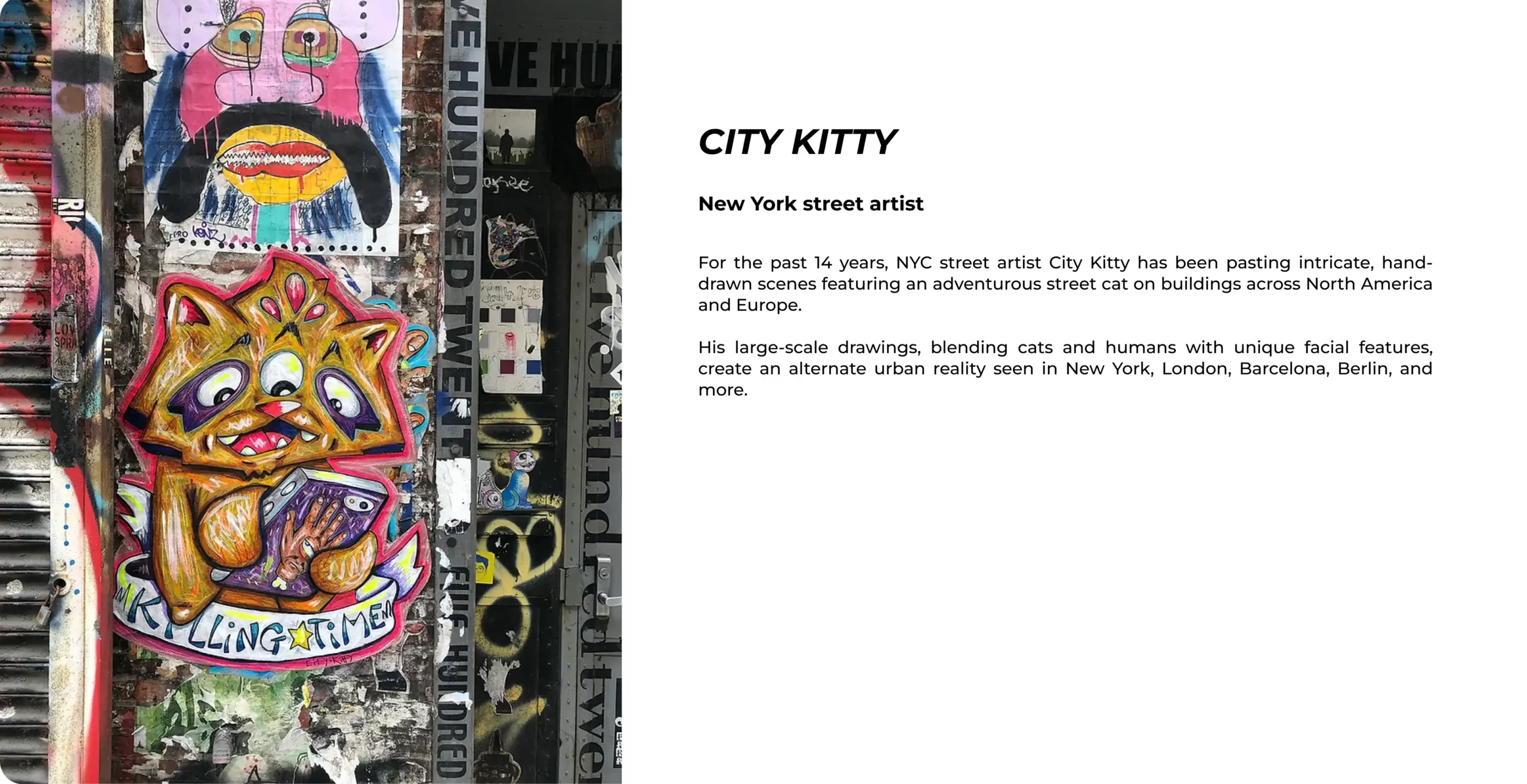 city kitty х PATTERNS & SYMBOLS