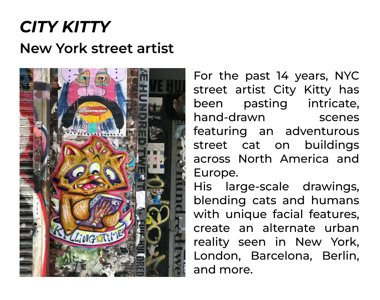 city kitty х PATTERNS & SYMBOLS